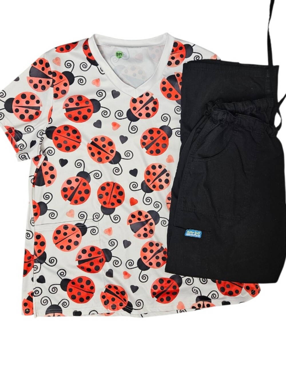 Ladybugs Scrub Set